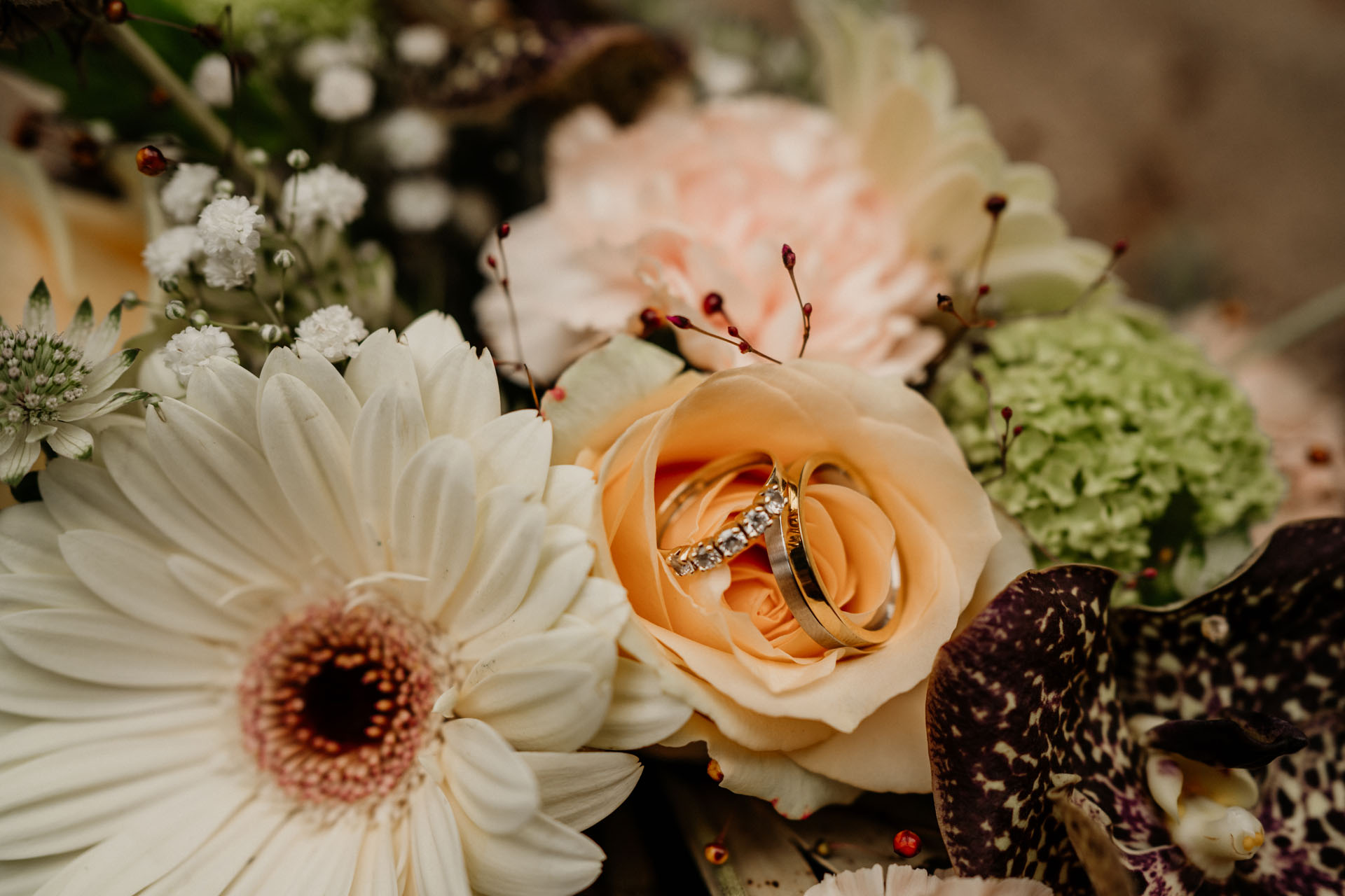 trouwfotograaf-goes 2024 (11)