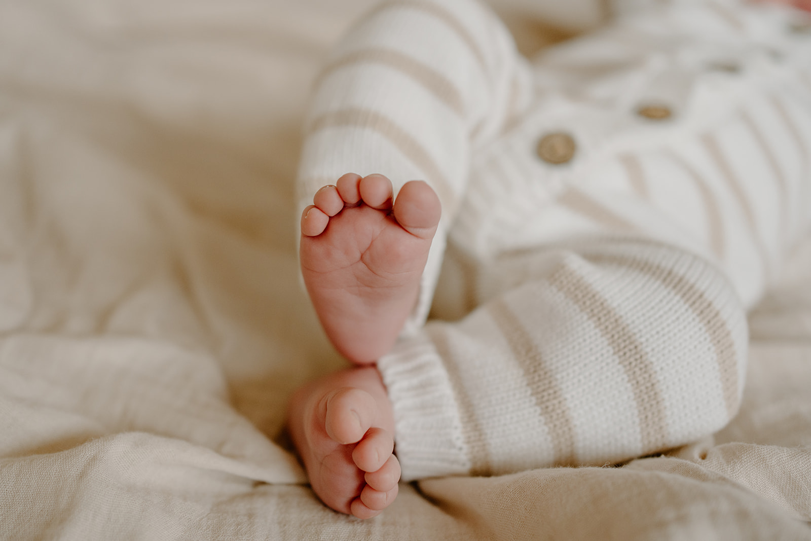 Newbornshoot tarieven zeeland